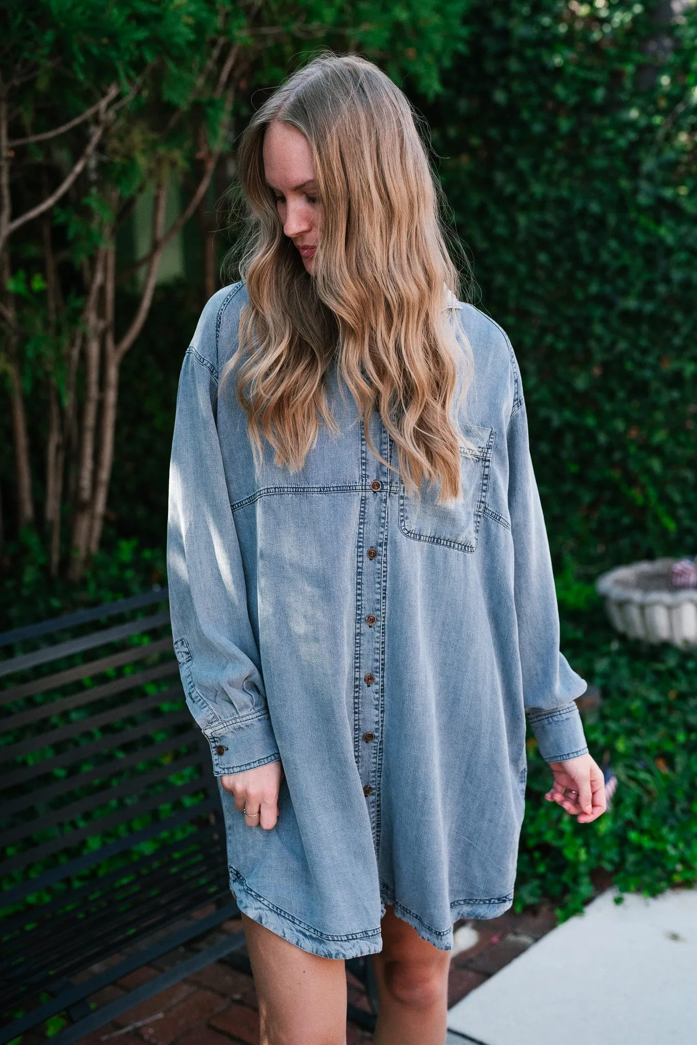 Willow Button Down Denim Dress